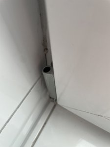 IMG_1966.jpeg