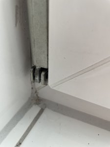 IMG_1967.jpeg