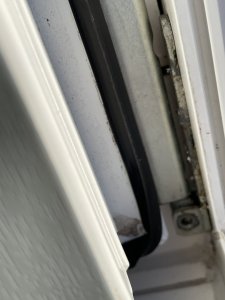 IMG_1968.jpeg