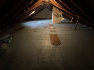 IMG_1479.jpeg