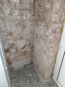 IMG_20240125_063838.jpg