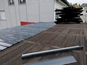 WhatsApp Image 2024-01-29 at 17.08.02.jpeg