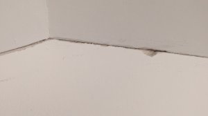 Riss mit entferntem Acryl_01.jpg