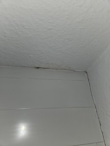 innen rechts über Balkontür.jpg