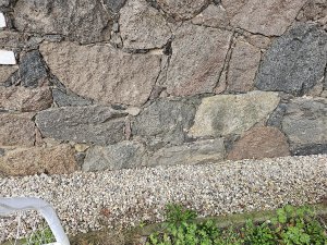 20231019_100512.jpg