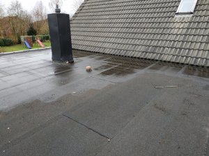 IMG_20240204_093642.jpg