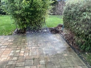 IMG_1738.jpeg