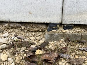 IMG_8238.jpeg