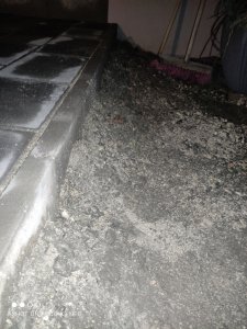 IMG_20240210_195321.jpg