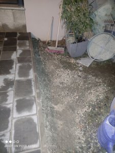 IMG_20240210_195314.jpg