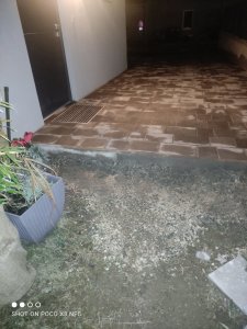 IMG_20240210_195250.jpg