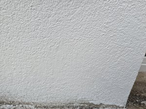 PXL_20240211_135517798.jpg