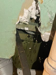 image1.jpeg