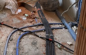 IMG_0203.jpeg