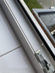 IMG_2013.jpeg
