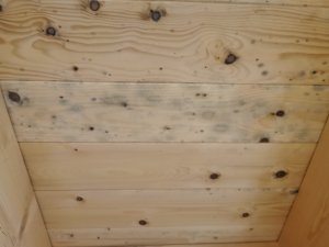 IMG_20240212_130042.jpg