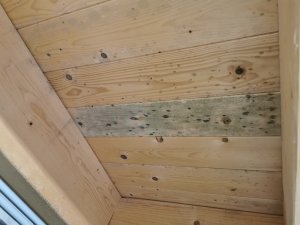 IMG_20240212_130048.jpg