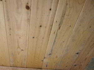 IMG_20240212_130054.jpg