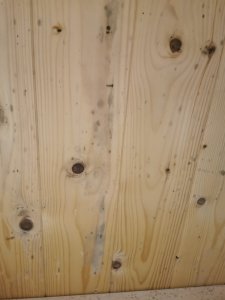 IMG_20240212_130109.jpg