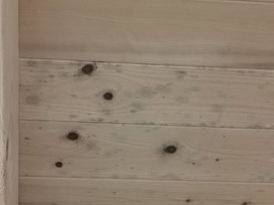 IMG_20240212_151751.jpg