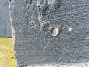 IMG_6030.jpeg