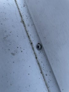 IMG_2021.jpeg