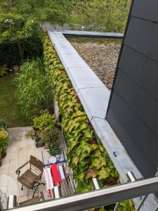 Blick aufs Flachdach vom Nebenzimmer.jpg