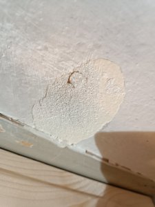 IMG_20240219_201840.jpg