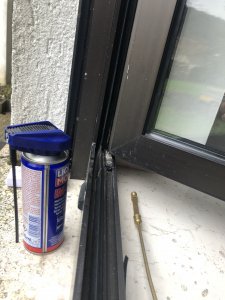 IMG_4828.jpeg