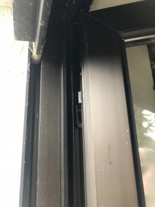 IMG_4830.jpeg