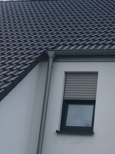 IMG_3519.jpeg