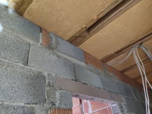 IMG_20240222_164553.jpg