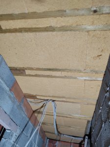 IMG_20240222_190025.jpg