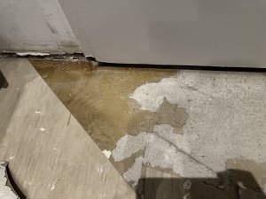 IMG_3928.jpeg