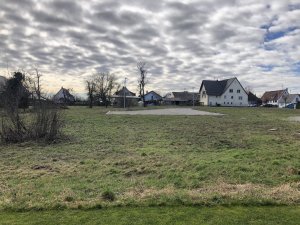 IMG_0915.jpeg