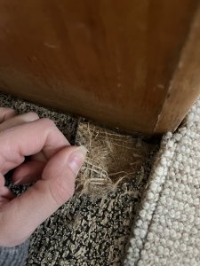 IMG_5204.jpeg