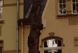 Haus_1.png