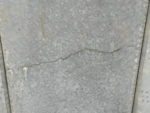 IMG_4060.jpeg