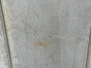IMG_4059.jpeg