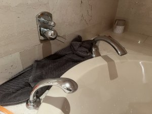 IMG_9048.jpg
