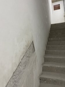IMG_2215.jpg