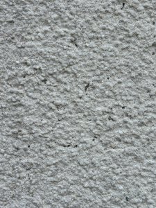 IMG_6598.JPG