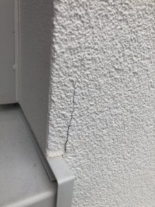 IMG_0954.jpeg