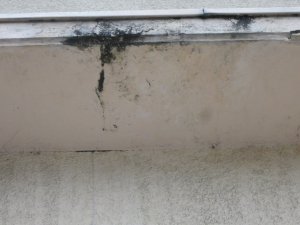 9903 schwarzer Schimmel außen am u. im Betonsturz.jpg