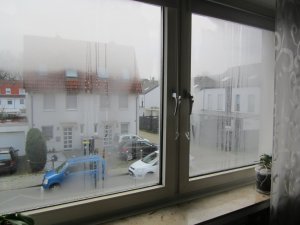 mehrmals täglich Wasser absaugen.JPG