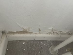IMG_1029 - Kopie.JPEG