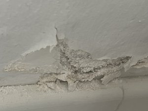 IMG_1030 - Kopie.JPEG