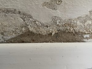IMG_1046 - Kopie.JPEG