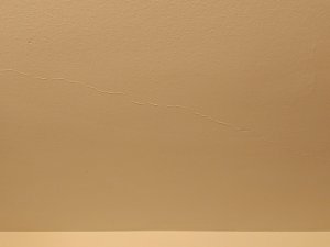 IMG_20240316_013938.jpg
