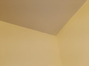 IMG_20240316_014003.jpg